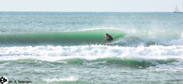 1410858_257498641069119_1474043288_o copia