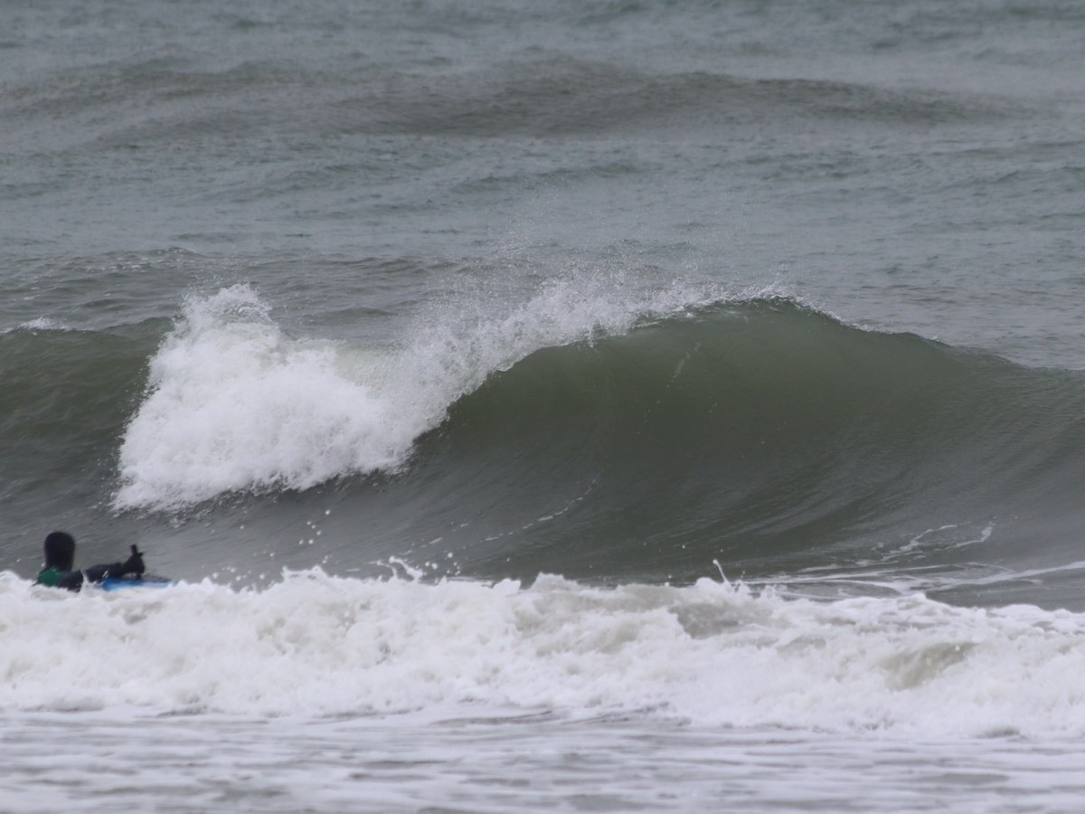 Belle onde fredde&nbsp;09/01/2024